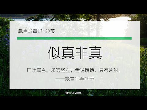 11月6日《灵命日粮》文章视频-似真非真