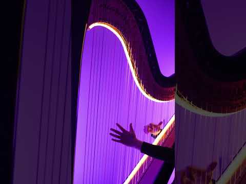 Things You Said - Cody Fry（Harp Cover by Hello Harp 妳好豎琴） #harp #music