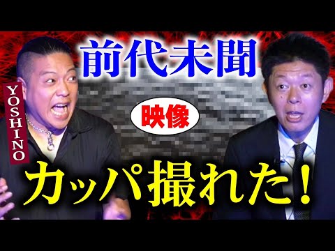 初【Yoshino】撮れた！カッパの映像 音楽人&怪談師のYoshinoさん渾身の怖いカッパの話『島田秀平のお怪談巡り』