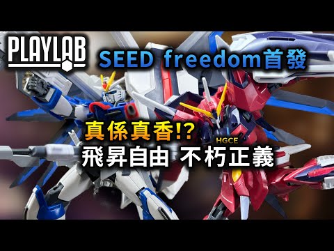 【Wil腎模型櫃】Gundam SEED FREEDOM HGCE系列始動！ 首發機體 飛昇自由 不朽正義 行きます！【素組】 究竟係唔係真香！？