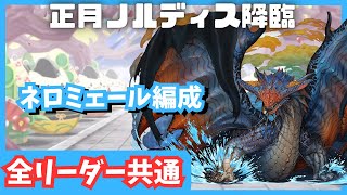 【パズドラ】正月ノルディス　全リーダー共通