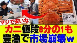 【超お得】カニの値段半額以下に、取れすぎて市場崩壊ｗ【オオズワイガニ】