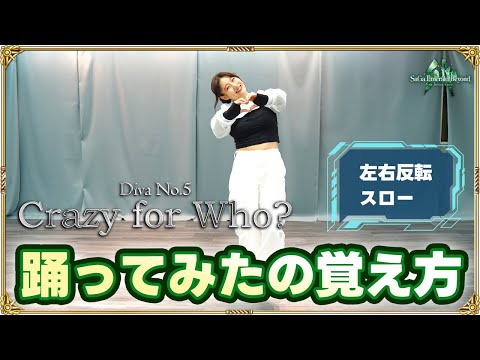 【反転スロー】フレーズで覚えるCrazy for Who? の踊り方【サガ エメラルド ビヨンド】