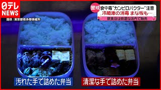 【“カンピロバクター”に注意】高温多湿“食中毒”のシーズン  お弁当作りでの対策は？