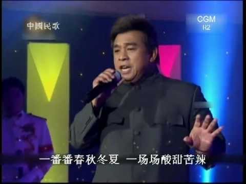 cgm2012 R2-D03b 林伟-敢问路在何方