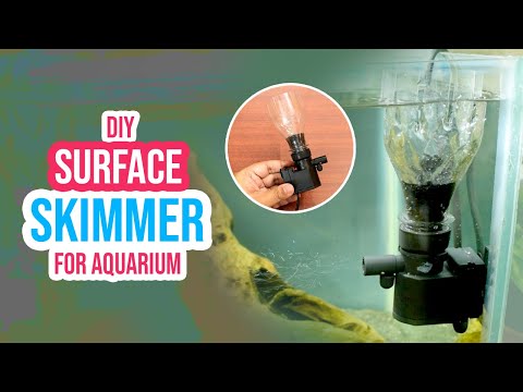 DIY Surface Skimmer for Aquarium: Remove Surface Film with This Trick!