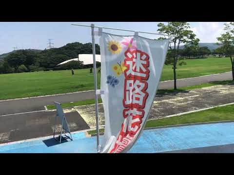 ワイエムエス　フレンドリー　響灘緑地グリーンパークの花めぐり（北九州市若松区）　2024/08/15