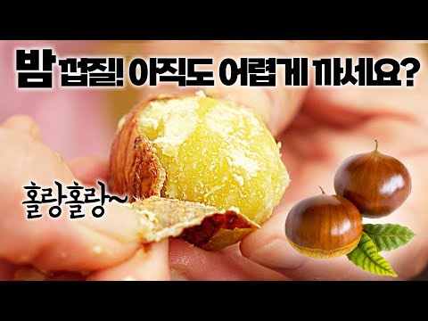 밤 껍질 쉽게 까는 법! 🌰 귤처럼 벗겨지는 초간단 밤 삶기 비법 공개! 너무 맛있어서 집에 밤이 남아나질 않네요👍