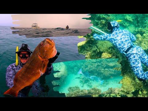 Spearfishing Australia - Coral Trout Catch and Cook