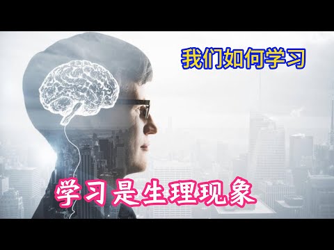 我们如何学习：学习是生理现象