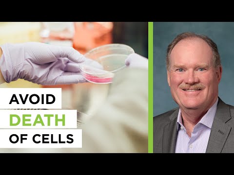 What Can We Learn from Senotherapeutics? - With Dr. Jeffrey Bland | The Empowering Neurologist EP.98