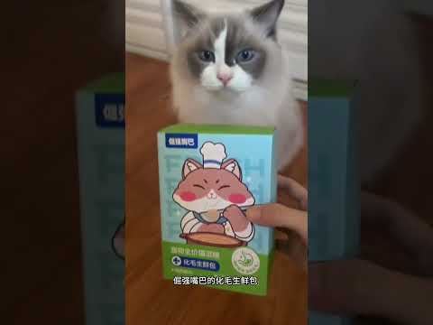 我家猫遭了很多罪，我才知道平时舔毛完要多排毛… #猫和孩子