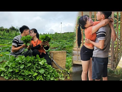 Farm Care - Harvesting Greens to Sell Together at the Market | Linh's Life