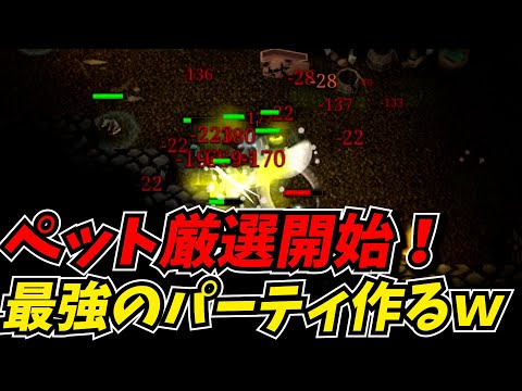 激ハマりの神ゲーでペット厳選を早速し始める攻略最前線TVｗｗ【9th Dawn Remake】#2