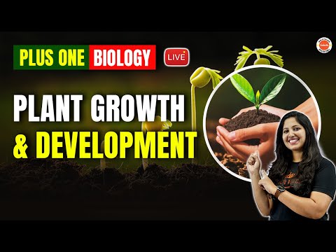 Plant Growth and Development | Plus One Biology | Anchana Ma'am