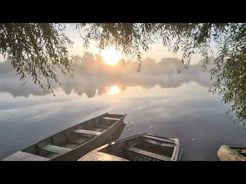 Morning Energy: River walk at Sunrise, Relax from Stress, Sound of Nature