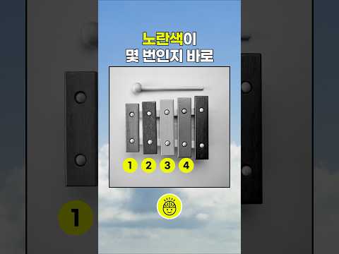 3%의 절대색감 능력자만 맞춘다는 테스트!