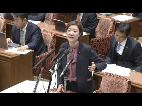 大石あきこ　衆議院・内閣委員会 　2023年11月17日