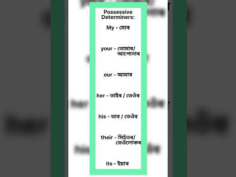 Possessive Determiners // Let’s learn English // #determiners #letslearnenglish #vocabulary #grammar