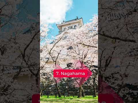 Top 10 Places To Visit In Shiga Prefecture Japan #top10destinations #travel #japantravelguide