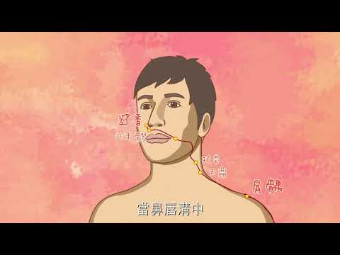 《穴來穴好》動畫第四集 - 手陽明大腸經（下）