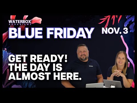 Waterbox LIVE Is Back!  Ready to announce BLUE FRIDAY.