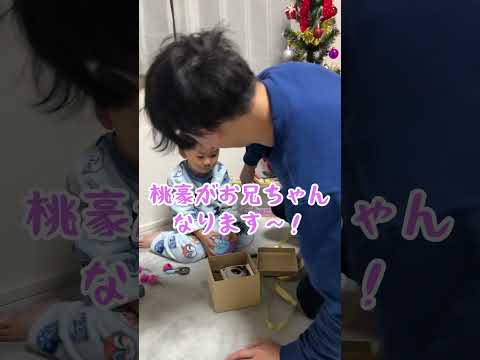 妊娠報告🤰🏻旦那にサプライズ♡2人目を授かることができました✨クリスマスの朝、息子のプレゼントと共に。🎅🏻#shorts #けんさり夫婦 #妊娠報告 #サプライズ #妊娠5ヶ月 #家族の日常