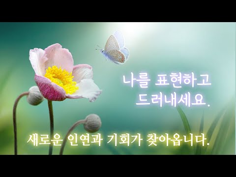 나를 표현하고 드러내세요 | 새로운 인연과 기회가 찾아옵니다