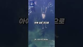 계곡이 위험한 이유