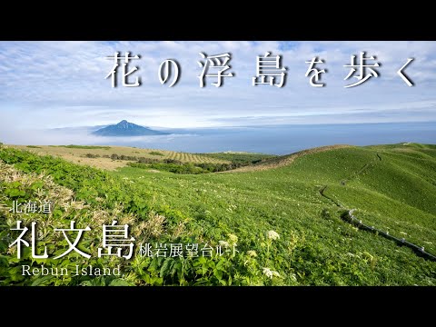 礼文島 -香深港より登る 花の浮島を歩く-