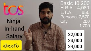 TCS Ninja In hand Salary (Telugu) | Fresher | 3.36 LPA | TCS Ninja Salary Breakup