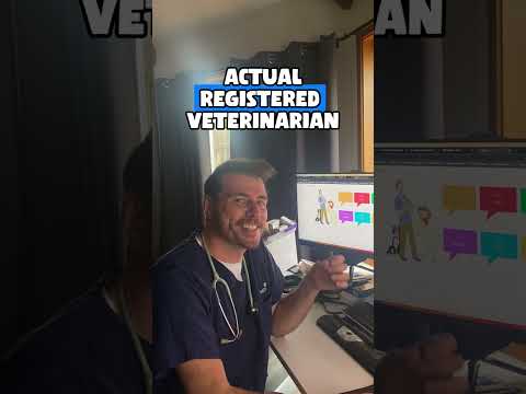 Dr Evan - Comment your pet questions below! 🐱🐶