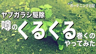 【ヤブガラシ駆除 】抜かずに枯らす 雑草駆除 ガーデニング初心者 庭づくり