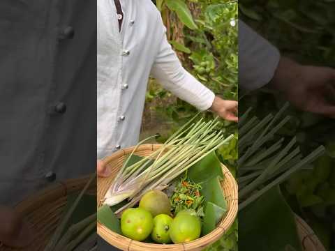 Picking up natural ingredients from garden #food #reels #thaistyle #viral #nature #like #youtube