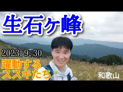 生石ヶ峰  躍動するススキたち