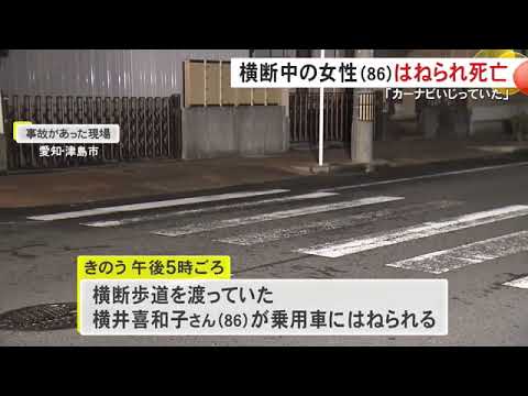 21歳男性「運転中にカーナビをいじっていた」横断歩道を歩いて渡っていた女性が乗用車にはねられ死亡