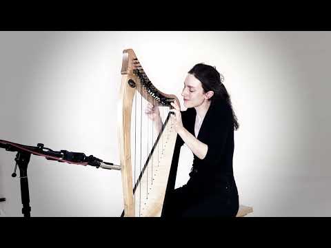 The Hungry Fox slip jig ('Bananas for Breakfast') - Celtic Lever harp solo by Tamsin Dearnley