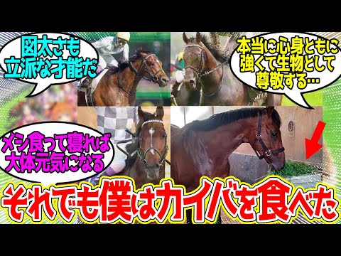 ダービーで勝った後も…凱旋門で泥だらけになった日も…有馬記念で復活勝利を果たした時も…に対するみんなの反応！【競馬 の反応集】