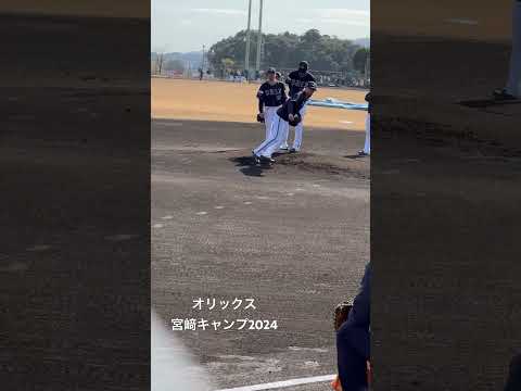 #オリックスバファローズ #宮﨑キャンプ