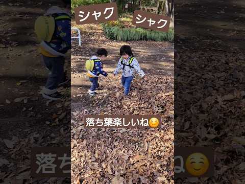 シャクシャク！落ち葉を楽しんでいたら...?!👶👶2歳5ヶ月双子