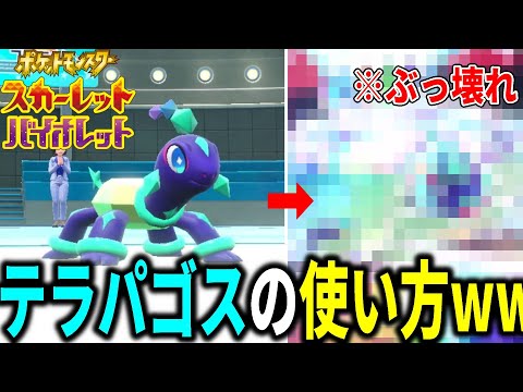 【ネタバレ注意】新ポケ「テラパゴス」の最強の使い方に早くも気づいてしまったかもしれない件【ポケモンSV】