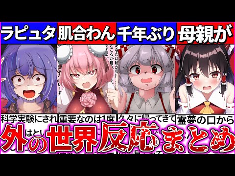 【ゆっくり解説】東方キャラが我々の世界に来た時の反応まとめ！霊夢が母について語る…