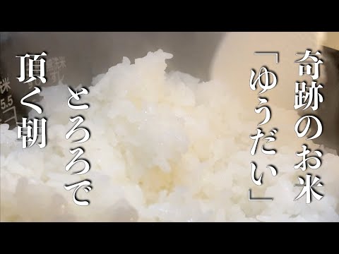 【奇跡のお米 ゆうだい】とろろご飯！旨すぎて旨さの向こう側を感じた朝。白米食べましょう！