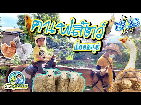 ตุ่นเที่ยวไทย l พาเด็กๆขี้ม้าเล่นที่ Horse 'N Coffee ที่เที่ยวนนทบุรี EP35