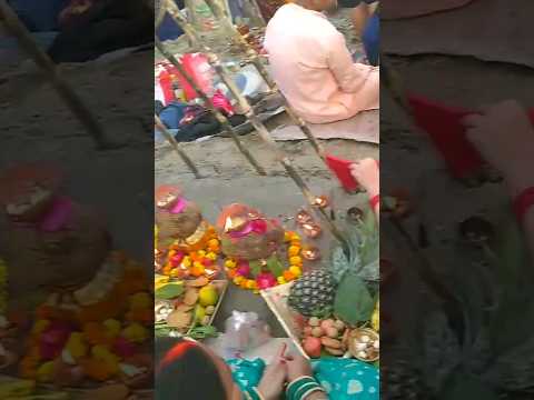 Chath Puja🙏 #chathpuja #bihar #bihari #shorts #sangam #prayagraj #trending #youtube #culture #viral