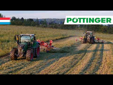 swathing 2nd cut with 2 rakes | Fendt // Pöttinger | Luxembourg 2024