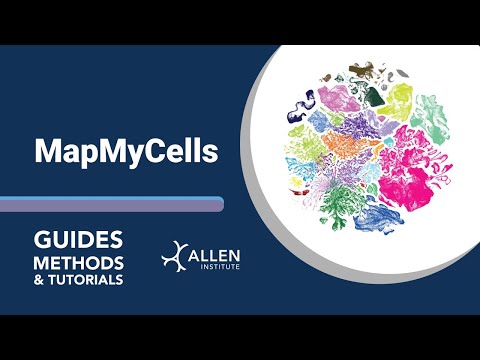 MapMyCells | Tutorial