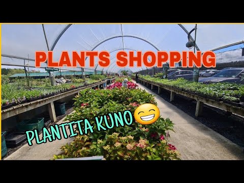 PLANTS SHOPPING WITH HUBBY