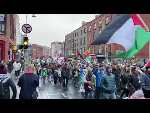 Pro-Palestine march in Dublin