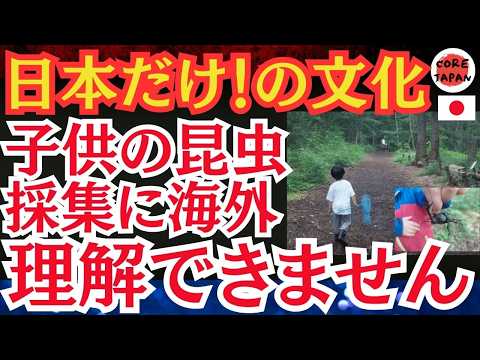 【衝撃】「ただの虫でしょ？」世界中でも日本だけ？！日本の昆虫文化の魅力に迫る！なぜ日本人は昆虫を愛でるのか？？